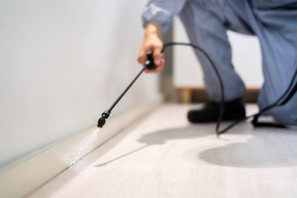 Certified termite inspector examining foundation in Bridge City
